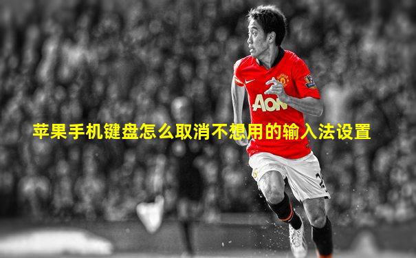 苹果手机键盘怎么取消不想用的输入法设置