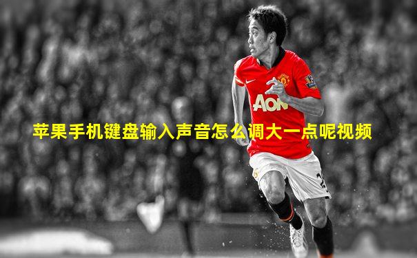 苹果手机键盘输入声音怎么调大一点呢视频