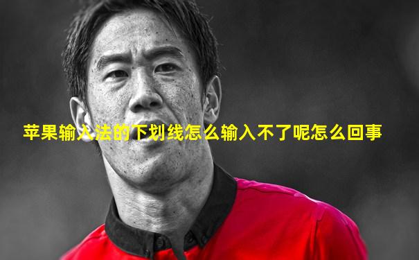 苹果输入法的下划线怎么输入不了呢怎么回事