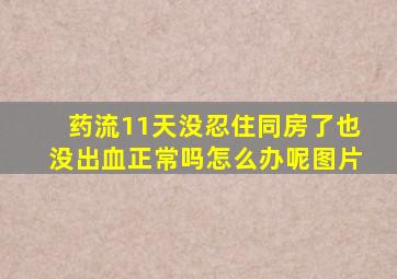 药流11天没忍住同房了也没出血正常吗怎么办呢图片