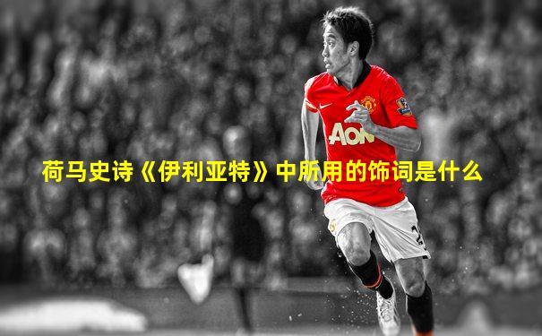 荷马史诗《伊利亚特》中所用的饰词是什么