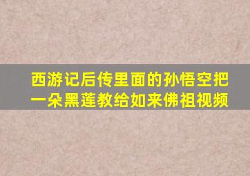 西游记后传里面的孙悟空把一朵黑莲教给如来佛祖视频