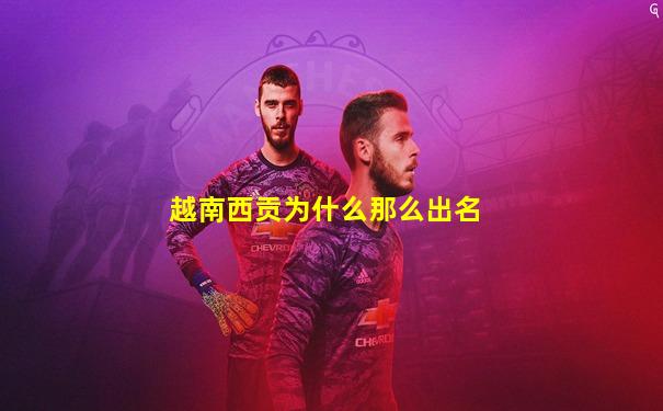 越南西贡为什么那么出名