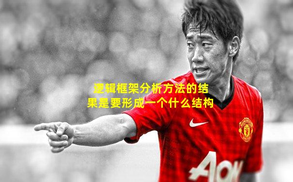 逻辑框架分析方法的结果是要形成一个什么结构