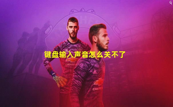 键盘输入声音怎么关不了