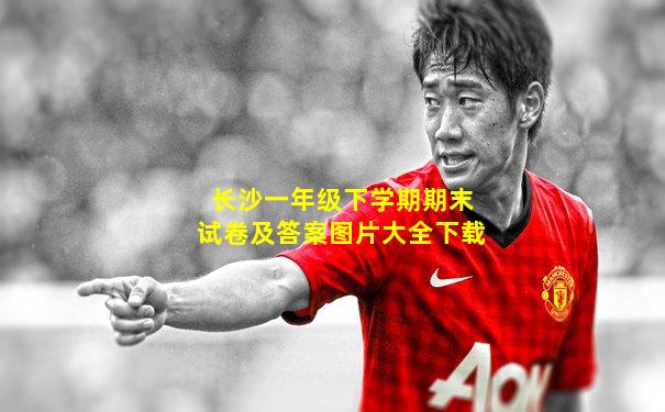 长沙一年级下学期期末试卷及答案图片大全下载